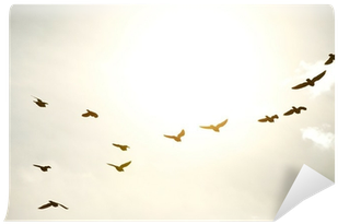 Bird (400x400), Png Download