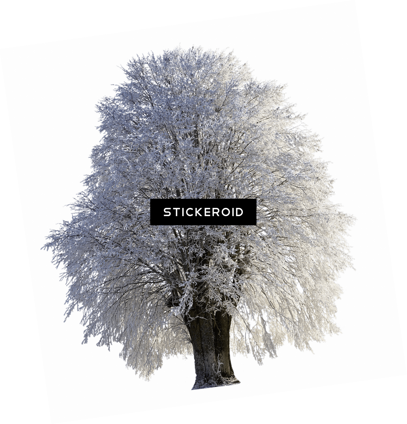 Tree Full Of Snow - Tree In Norway Covered In Frost Journal: Take Notes, (1379x1436), Png Download