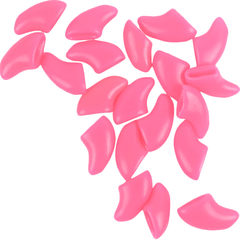 Cat Nail Cover Scratch Pet Dog Puppies Cat Claw Teddy - Cat (800x800), Png Download