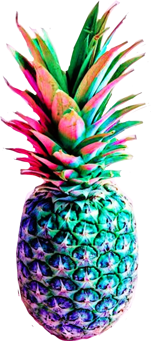 Report Abuse - Princess Pineapple Twitter (502x1132), Png Download