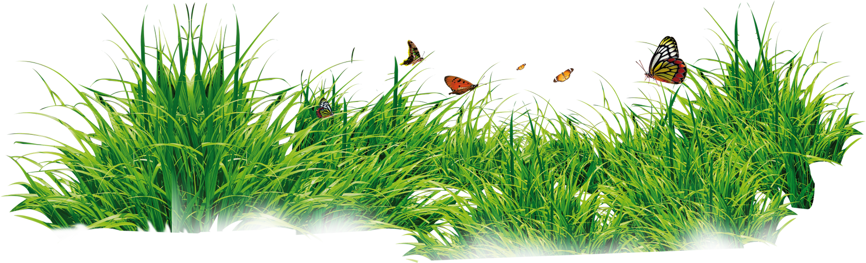 Grass With Flower Background Png Download - Png Format Grass Png (1689x513), Png Download