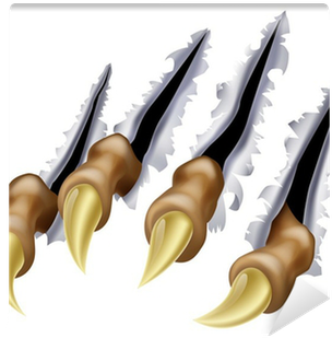 Griffure (400x400), Png Download