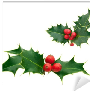 Holly Sprig (400x400), Png Download