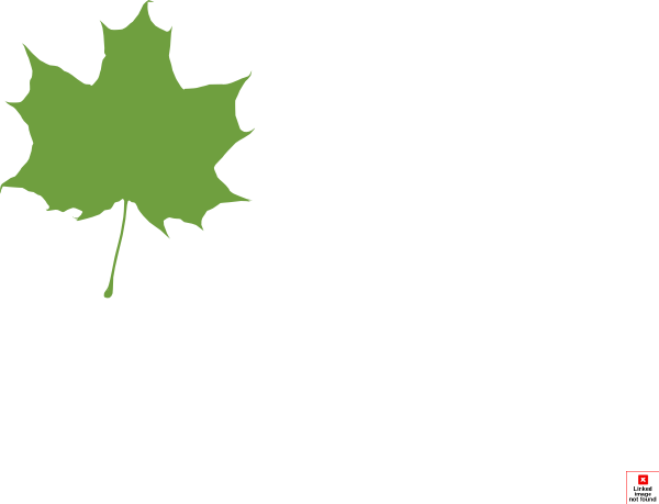 Maple Leaf Png - Clip Art Maple Leaf Silhouette (600x459), Png Download
