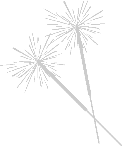 Bali Fireworks Services - Real White Firework Png (570x500), Png Download