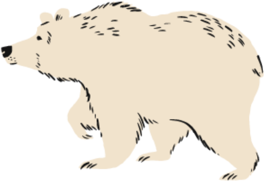 Polar Bear (610x610), Png Download