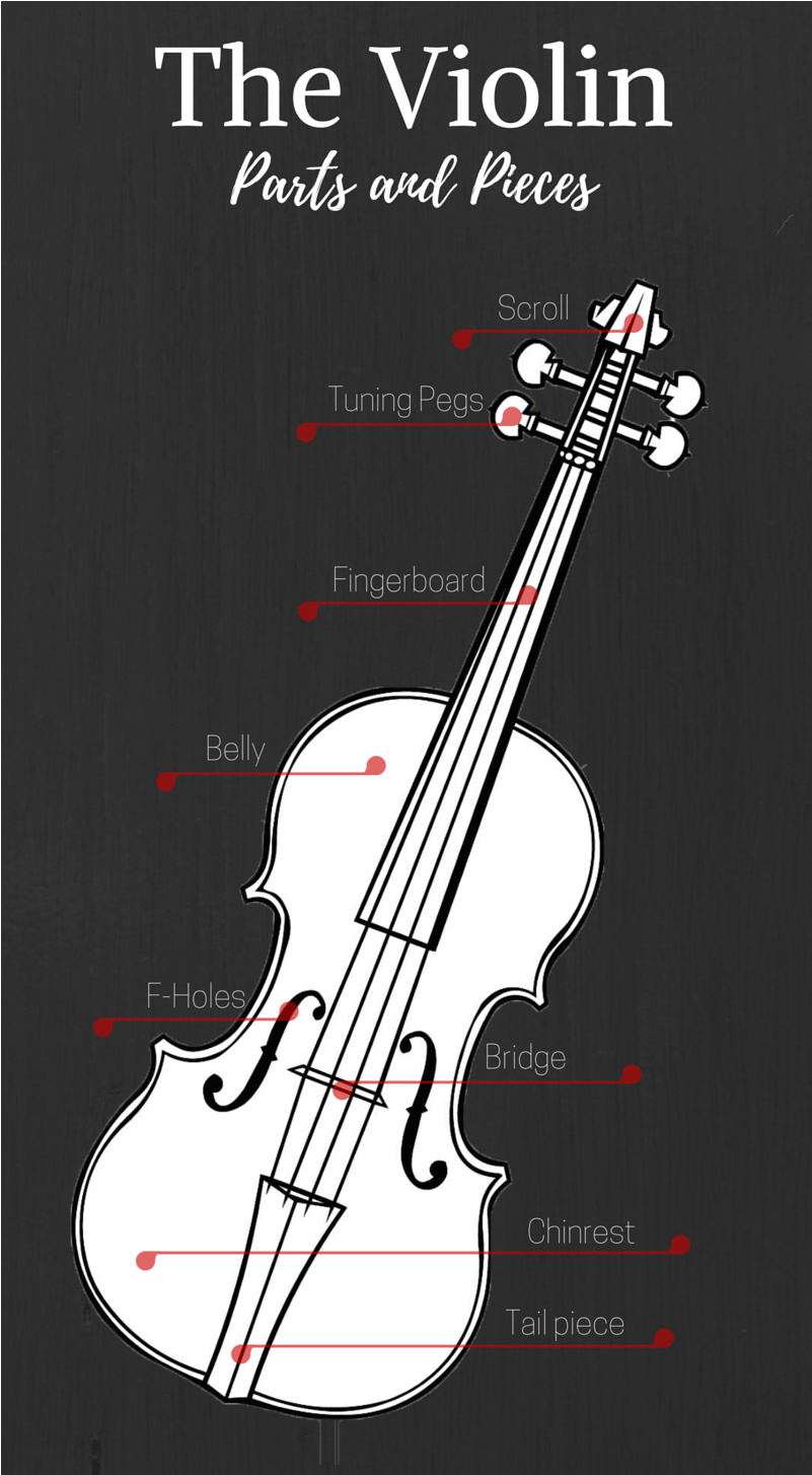 Violin Coloring Page (800x2000), Png Download