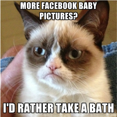 Grumpy-cat - Stop Posting Photos Of Your Baby (900x400), Png Download