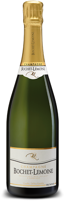 Image Is Not Available - Champagne (253x814), Png Download