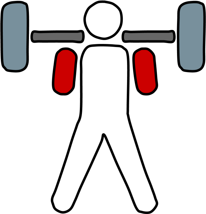 Weightlifter, Barbell (816x1056), Png Download