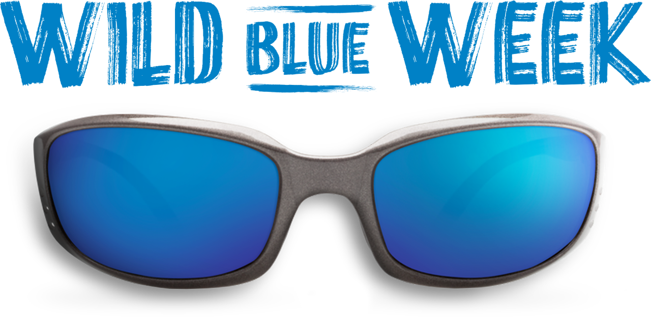 Costa's Wild Blue Week - Thanksgiving (1280x624), Png Download
