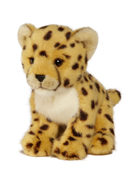 Cheetah - Wwf-canada (600x600), Png Download