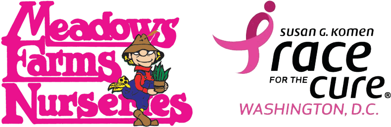 Pink Day - Komen Race For The Cure (835x300), Png Download