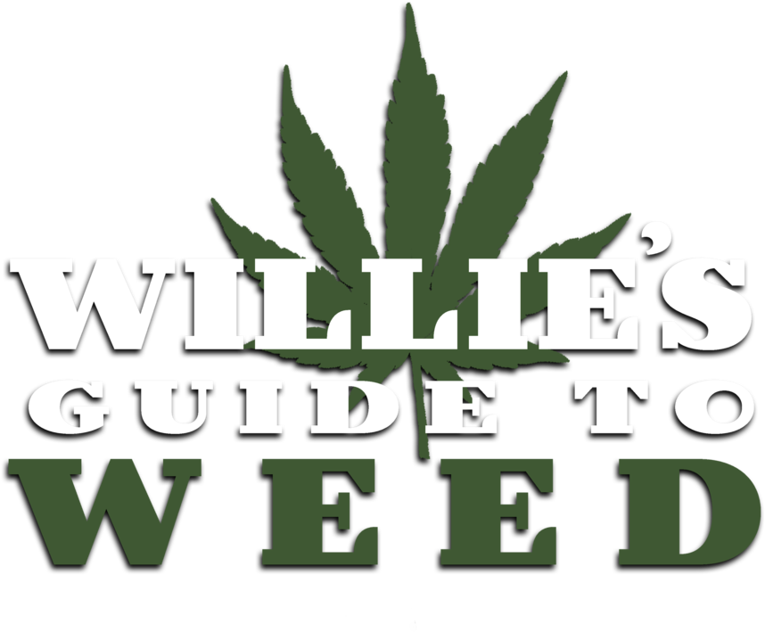 Williesguide 2 - Portable Network Graphics (1000x773), Png Download