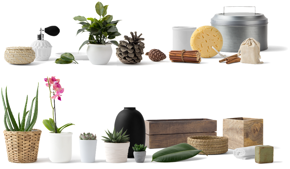 Potted Planting Png Transparent Decoratives - Acure Organics Brightening Facial Scrub Sea Kelp+ Chlorella (1024x660), Png Download