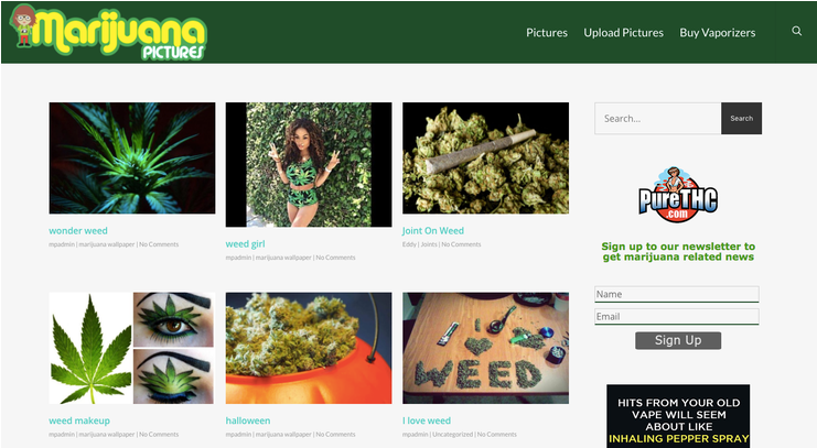 Previous - Pure Thc (740x680), Png Download