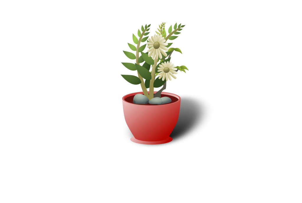 White Flower Pot Best Of Clipart White Flower Pot - Plants Clip Art (1024x688), Png Download