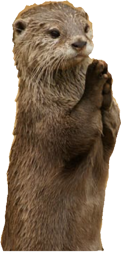 Download Otter - Namaste Funny PNG Image with No Background 