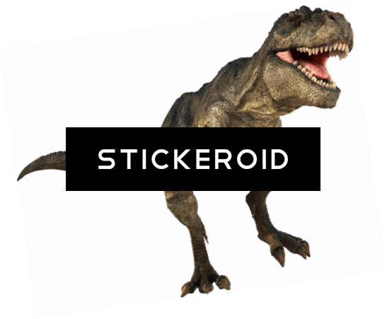T-rex - Nhm Shop Museum T. Rex Melamine Plate (547x451), Png Download