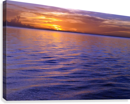 Savannah (429x342), Png Download