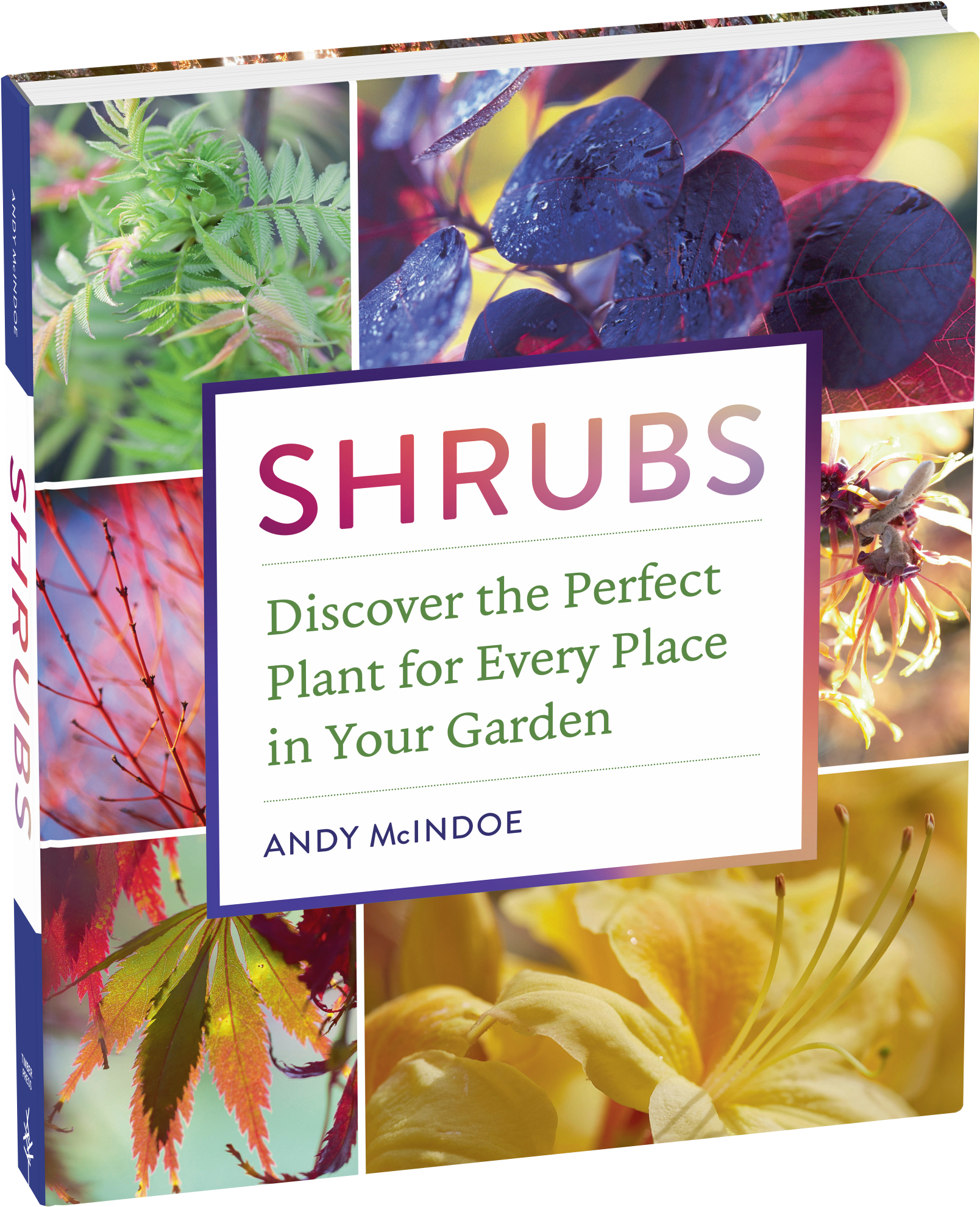 Cover - Shrubs: Discover The Perfect Plant For Every Place (1636x2000), Png Download