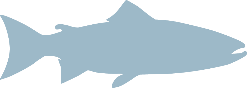 Atlantic Salmon - Grand Haven (942x336), Png Download