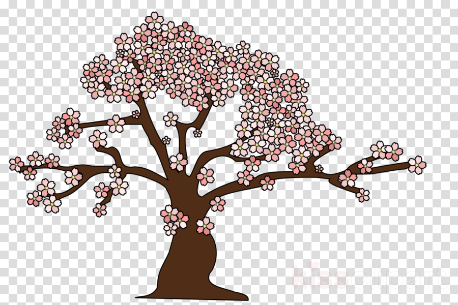 Clip Art (900x600), Png Download