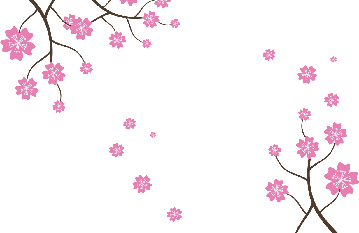 Deal Web Sakura - Cherry Blossom (1280x800), Png Download