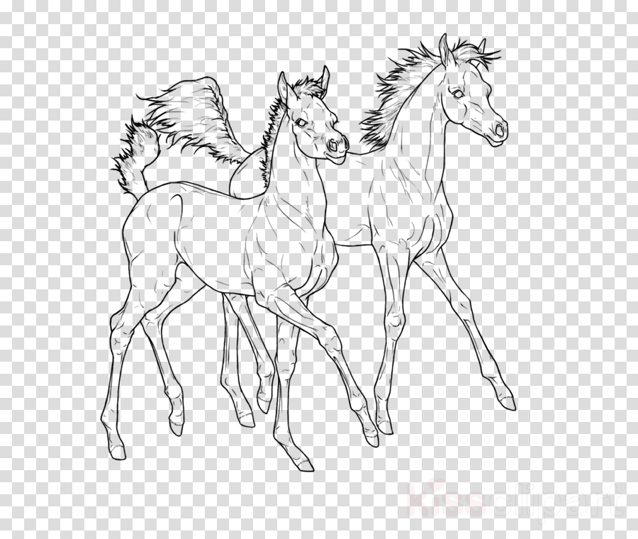 Arabian Horse Clipart Foal Pony Mustang - Arabian Horse (900x760), Png Download