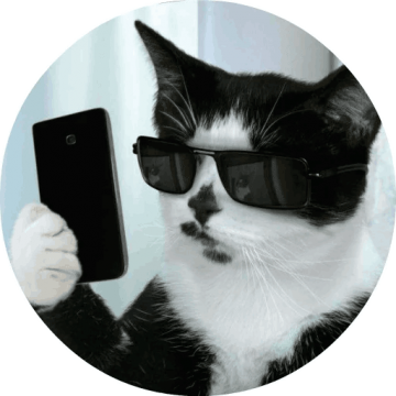 Стикер Cats By Smol - White Cat Wearing Glasses (360x360), Png Download