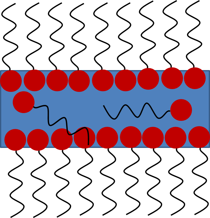 Soap Film (676x700), Png Download