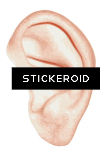 Ear People - Tongue (455x640), Png Download