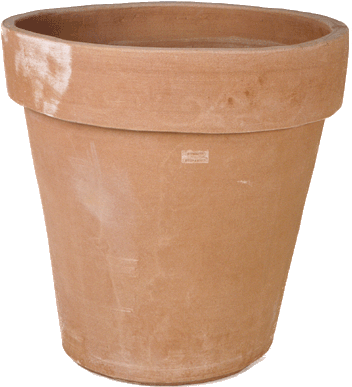 Flower Pot Png Download - Flower Pot Transparent (356x400), Png Download
