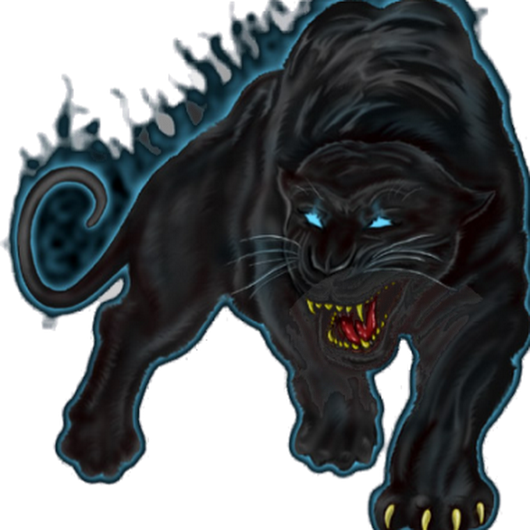 Photo - Panther Transparent (530x530), Png Download