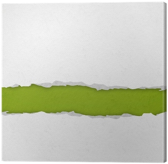 Grass (400x400), Png Download