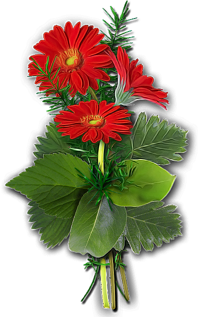 Flores Png - Cactus (403x665), Png Download