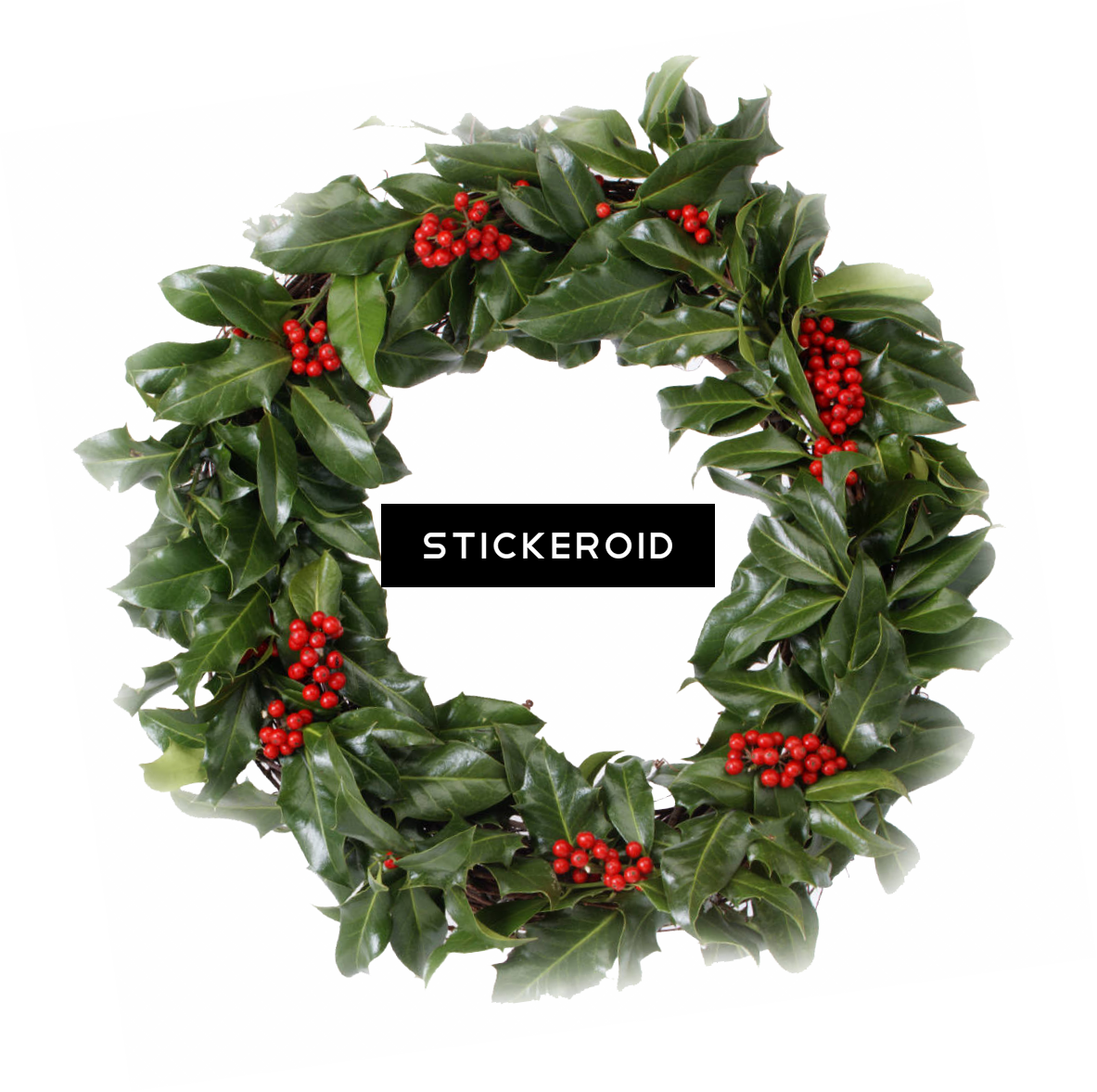 Christmas Wreath - Happy Howl-i-days! Ornament (round) (1183x1177), Png Download