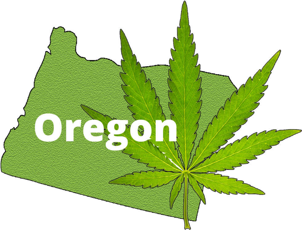 Image Result For Oregon Marijuana - Oregon Marijuana (1024x810), Png Download