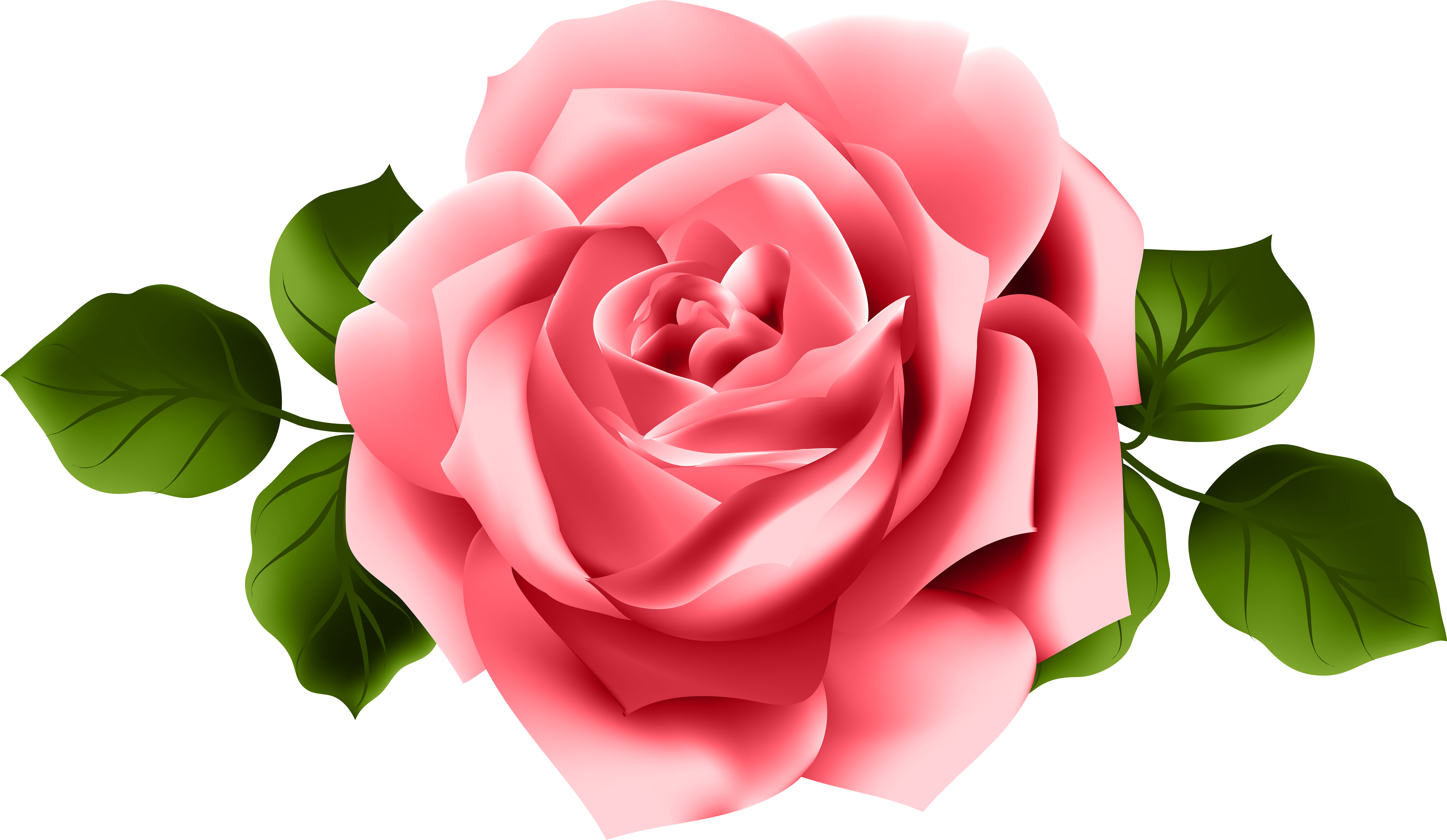 Go To Image - Pink Red Roses Png (8000x4686), Png Download