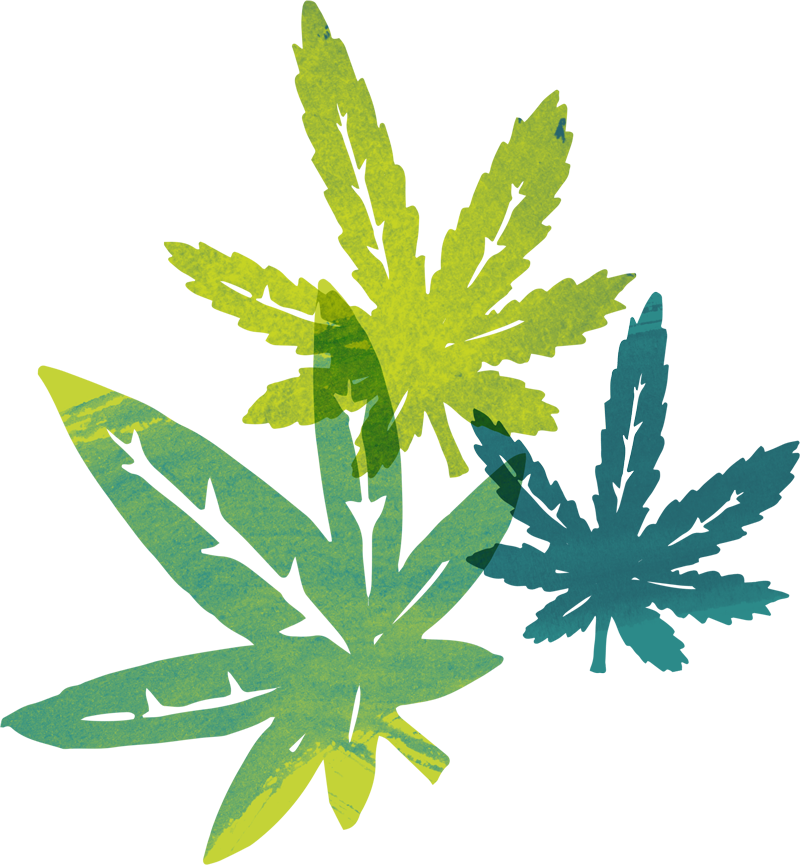 Who We Are - Illustration (800x865), Png Download