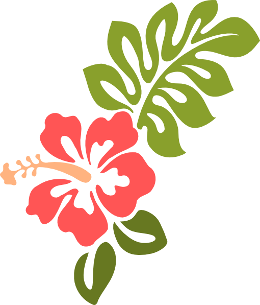 Hibiscus - Hibiscus Clip Art (510x597), Png Download