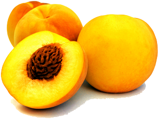 Peach - Clingstone Peach (448x311), Png Download