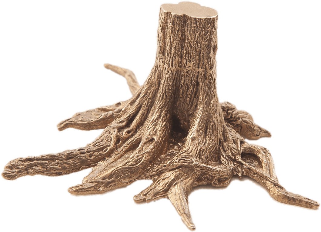 3d Tree Trunk With Roots - Tree (1200x1200), Png Download