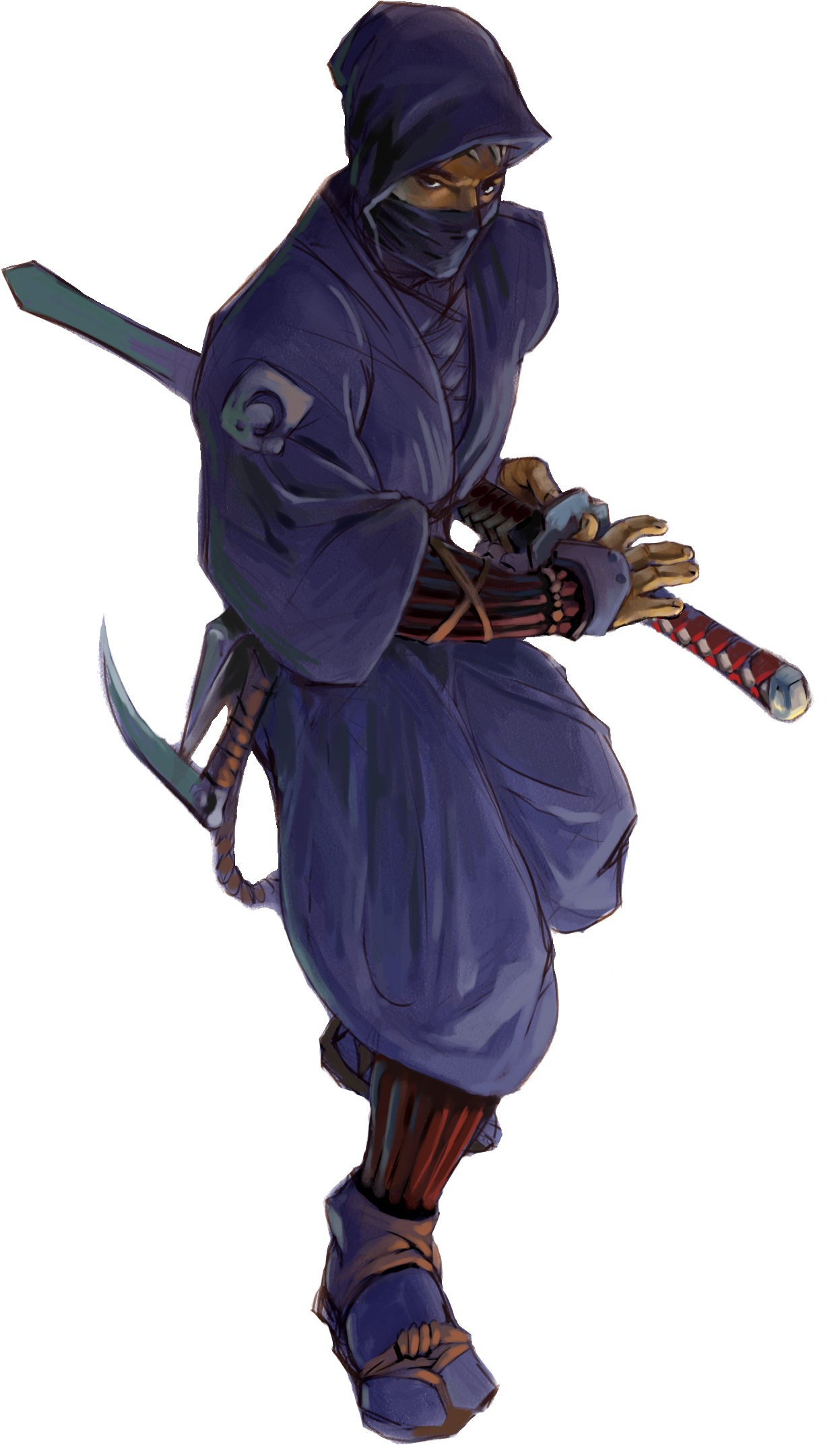Ninja Splat Pic - Gambar Kartun Ninja Assassin (1389x2283), Png Download