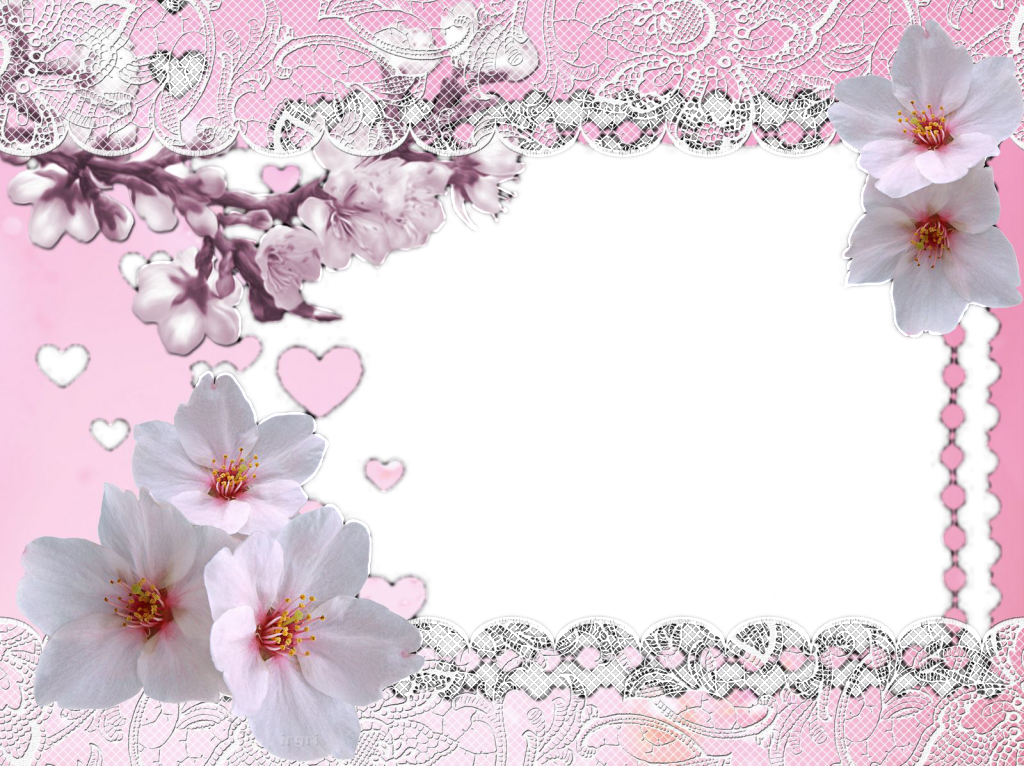 Peach Blossom Border - Photograph (1024x766), Png Download