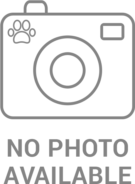 Smurf - Black Daddy Meme (1000x970), Png Download