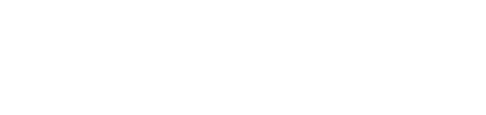 What Is This - Secret Hitler (986x226), Png Download