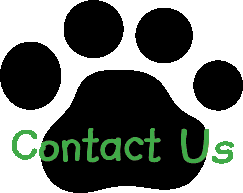 Contact Us Paw Print - Circle (485x385), Png Download