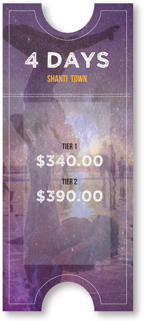 Shanti Town Ticket 1 - Book Cover (460x1020), Png Download