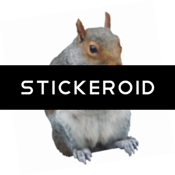 Squirrel - Fox Squirrel (353x354), Png Download